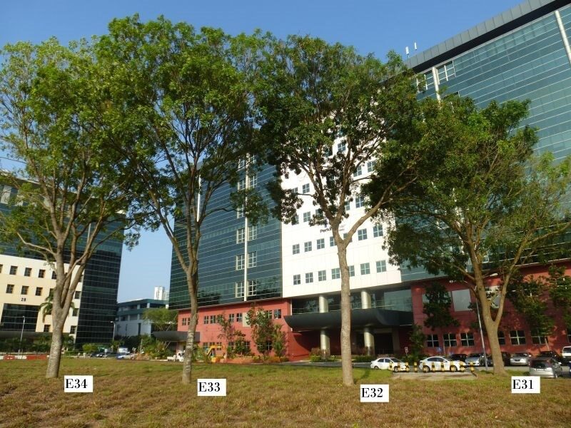 Topographical survey plan