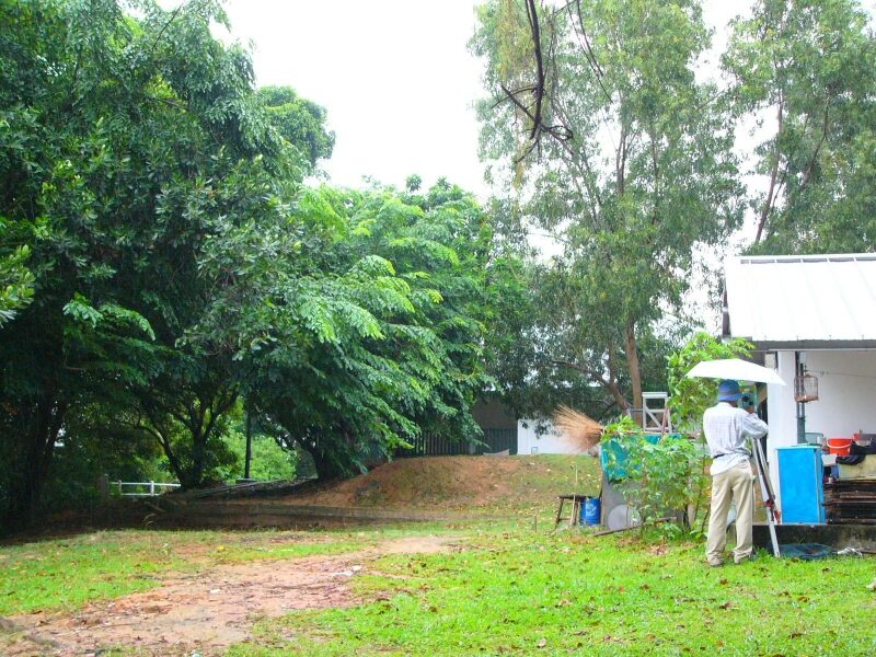 St John Island survey